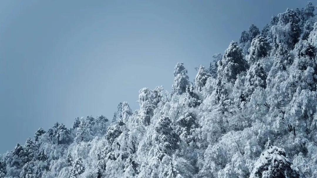寂静岭3